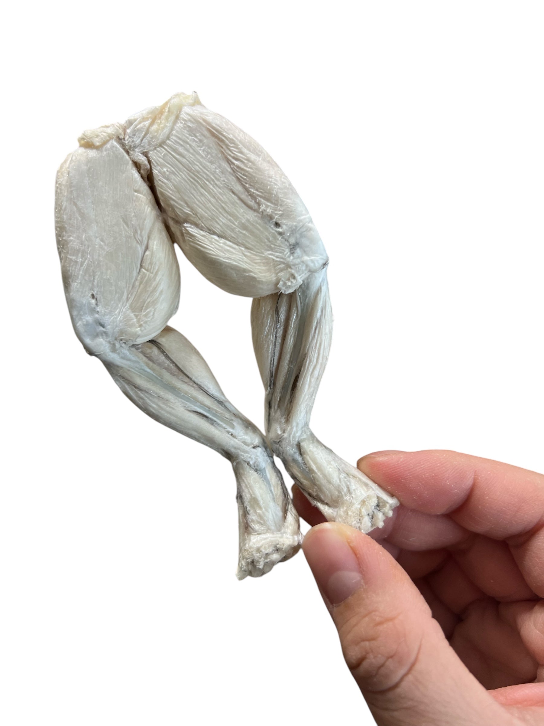 Freeze Dried Frog Legs